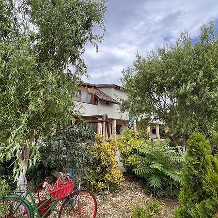 Casa Vera, Tudor Vladimirescu Тулча Экстерьер фото